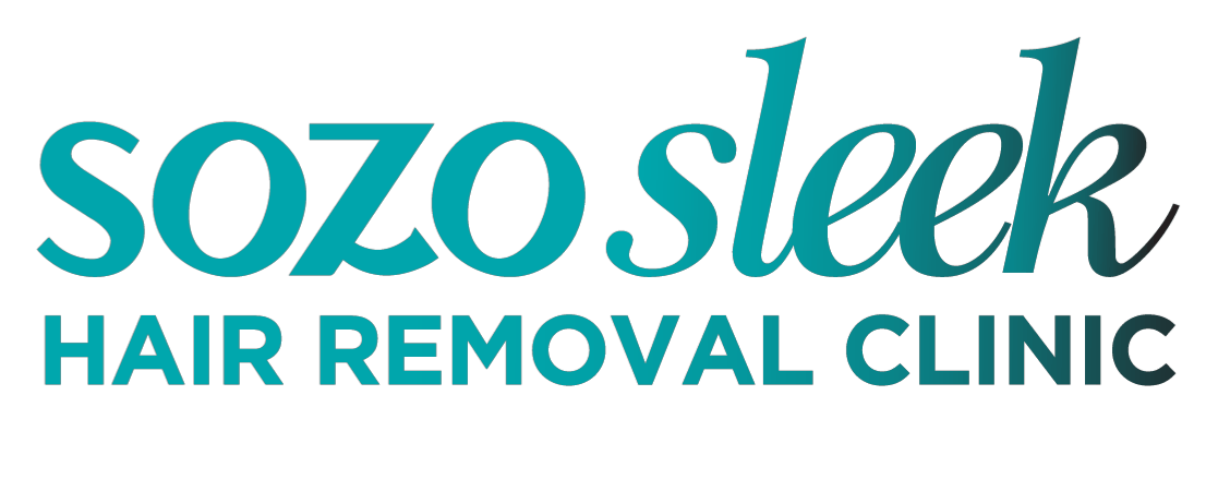 Logo Sleek